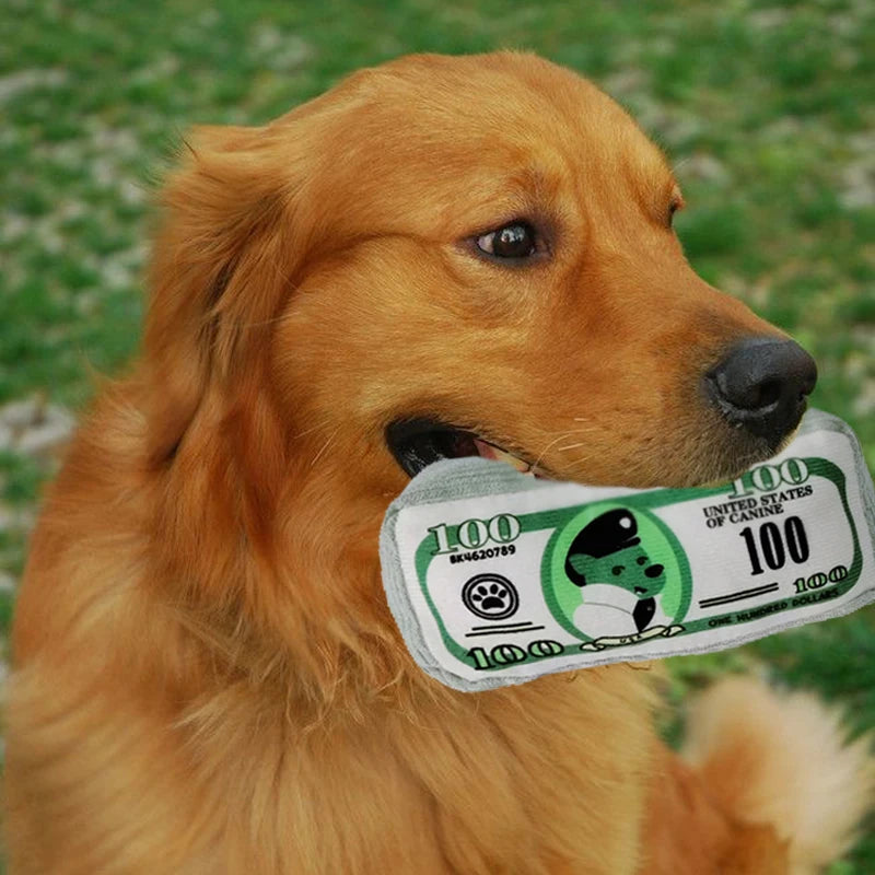 Simulation Money