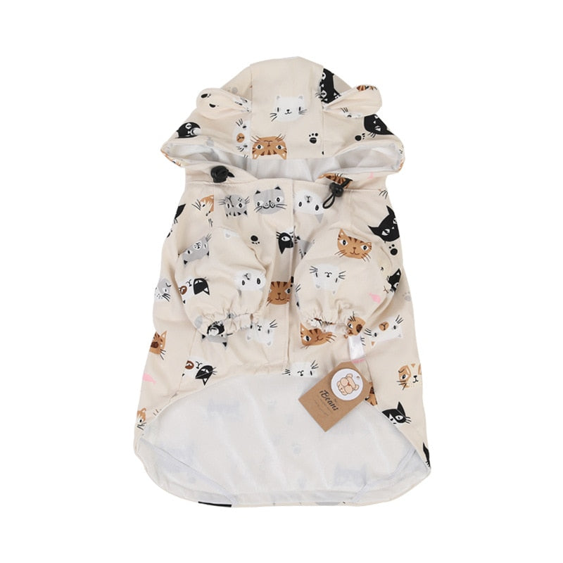 Bear Raincoat