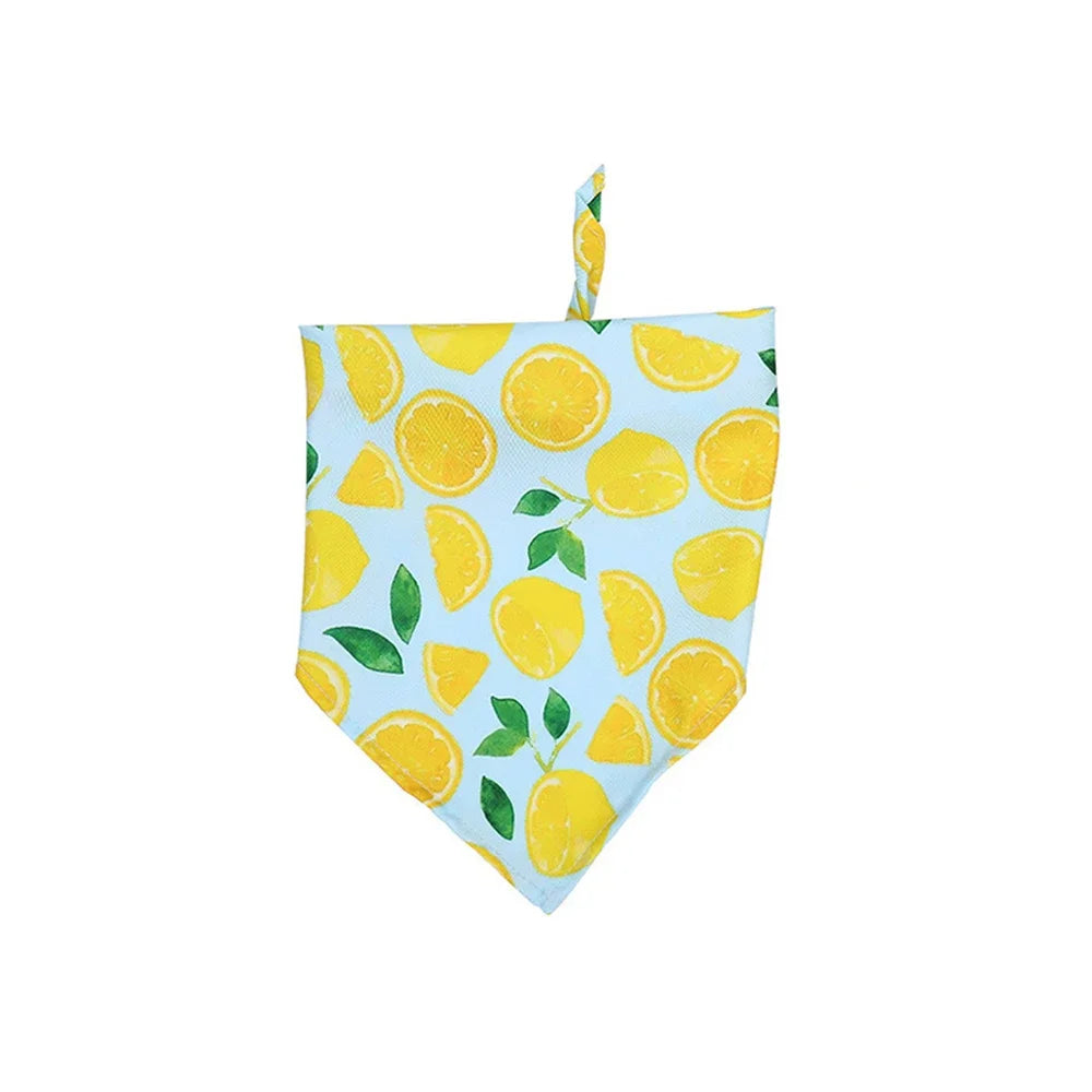 Summer Bandanas