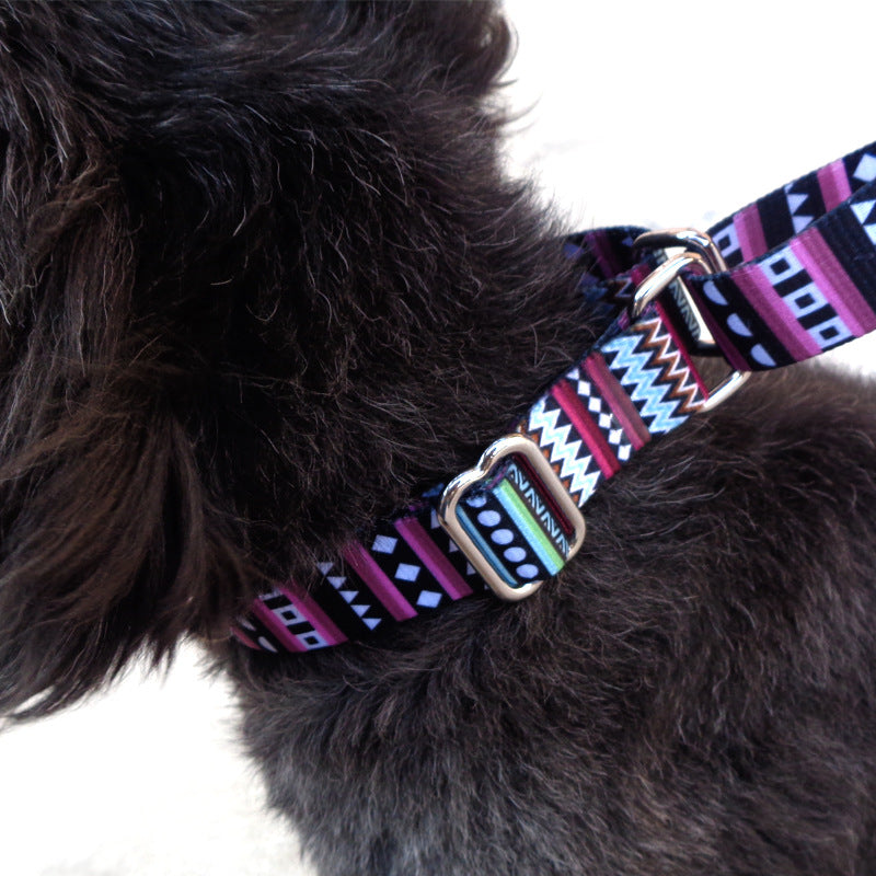 Color Stripe Digital Printing Collar