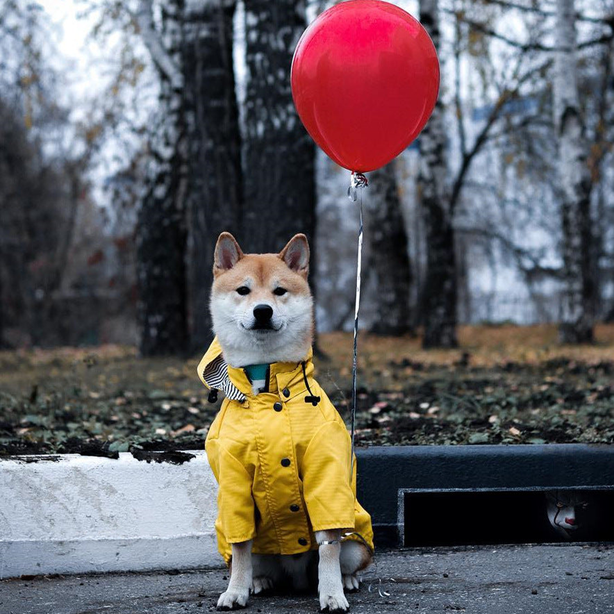 British Raincoat