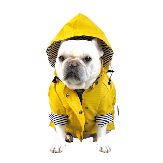 British Raincoat