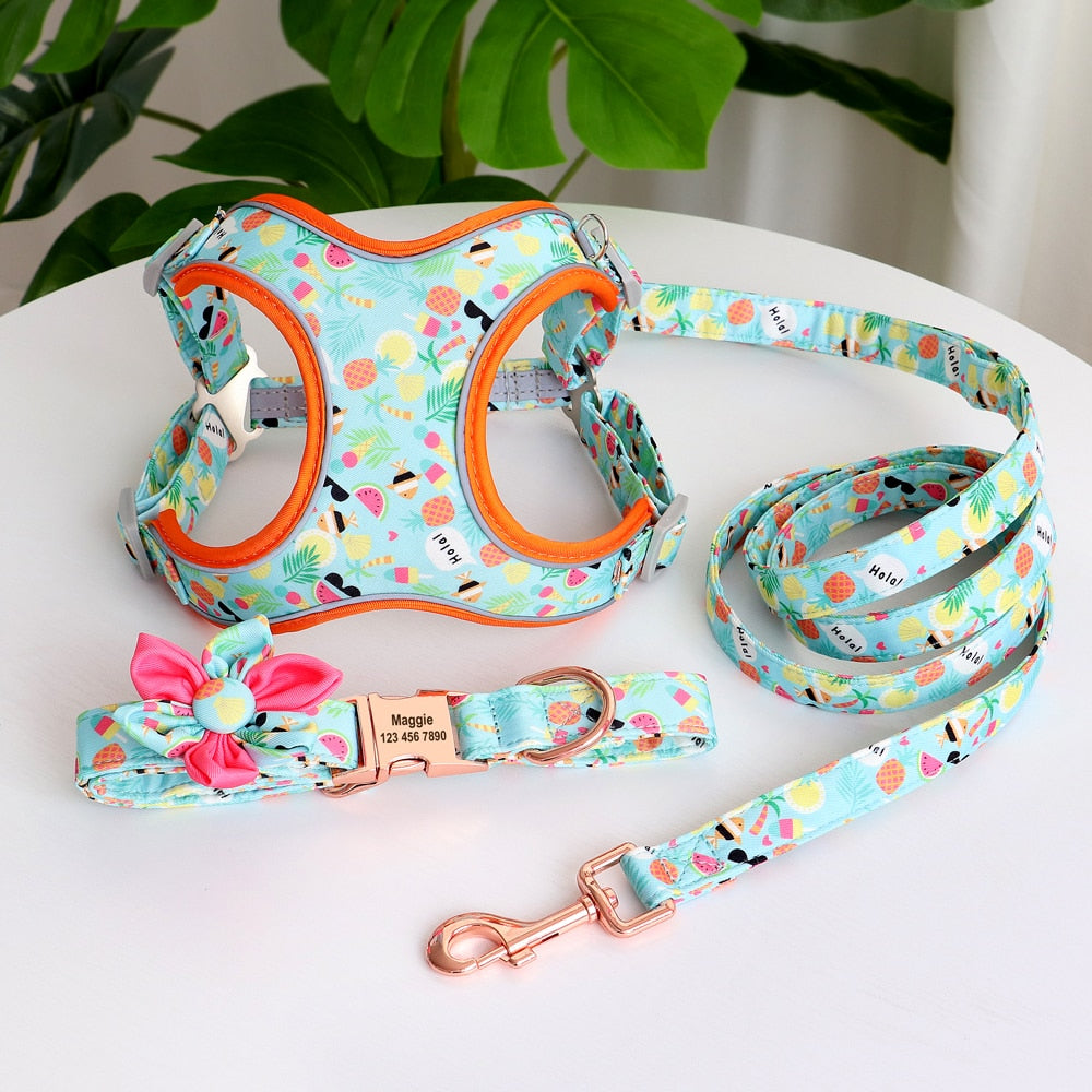 Personalized Dog Collar Printed Harness LeashSet