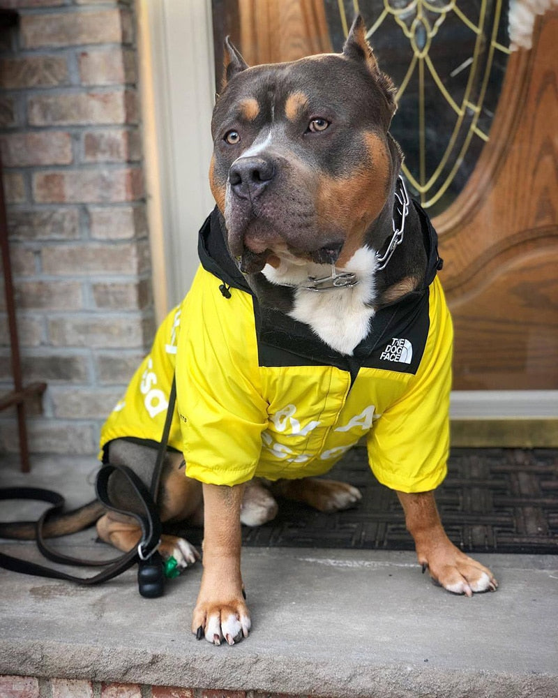 Dog Raincoat