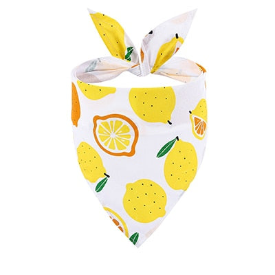 Fruit Bandana