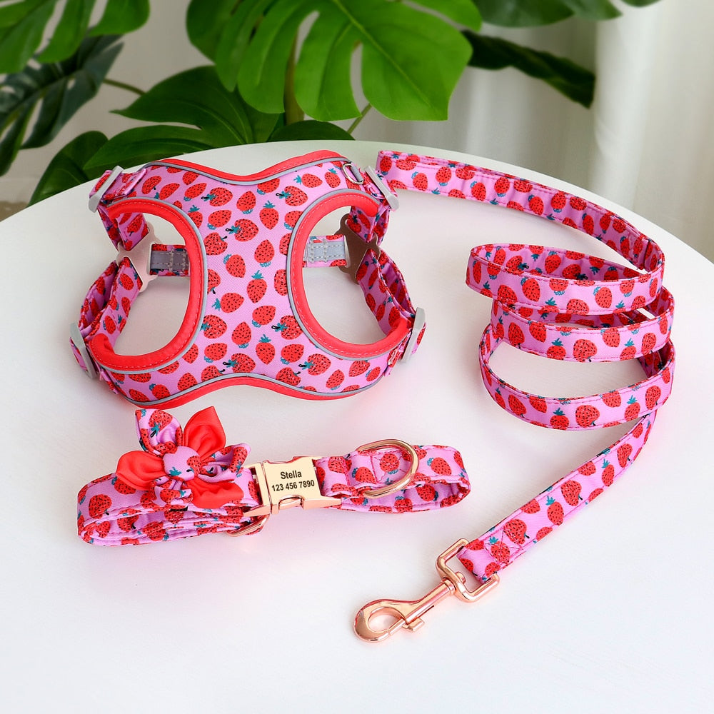 Personalized Dog Collar Printed Harness LeashSet