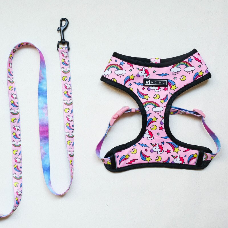 Pet Dog Harness Leash Set