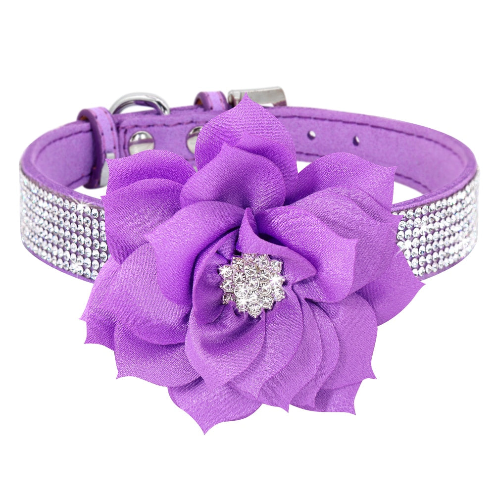 Bling Rhinestone  Collar