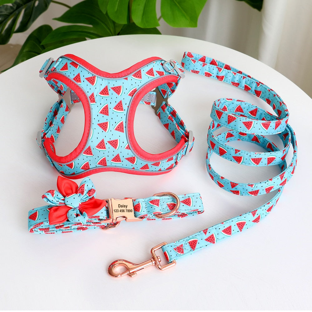 Personalized Dog Collar Printed Harness LeashSet