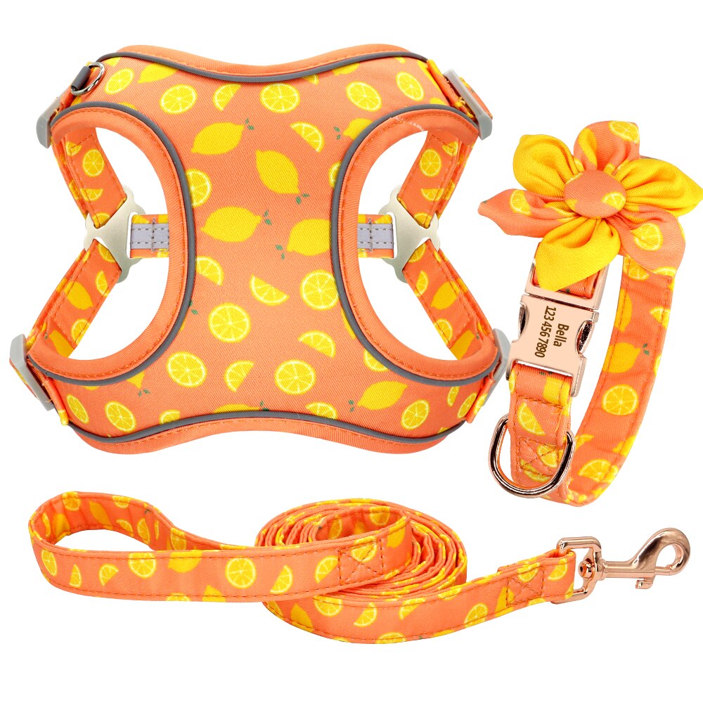 Personalized Dog Collar Printed Harness LeashSet