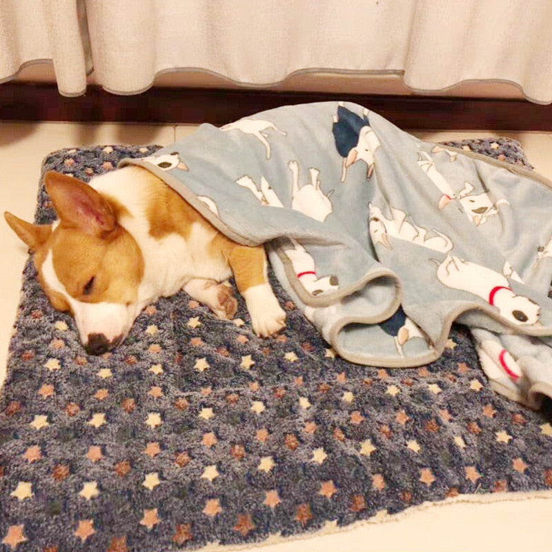 Pet Sleeping Blanket