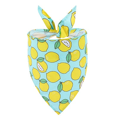 Fruit Bandana