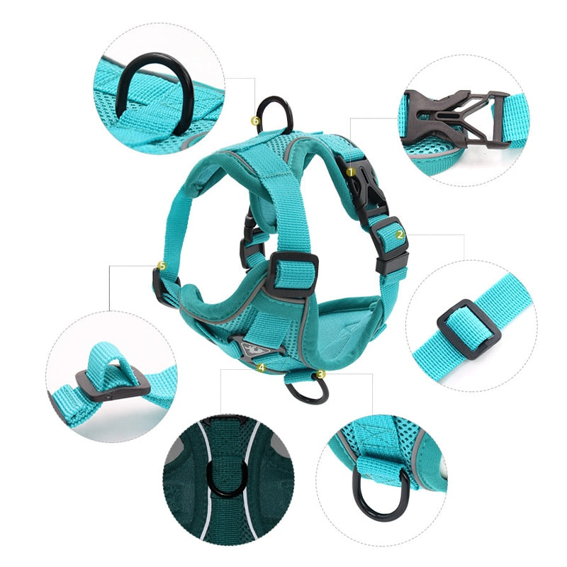 Dog Harness Leash