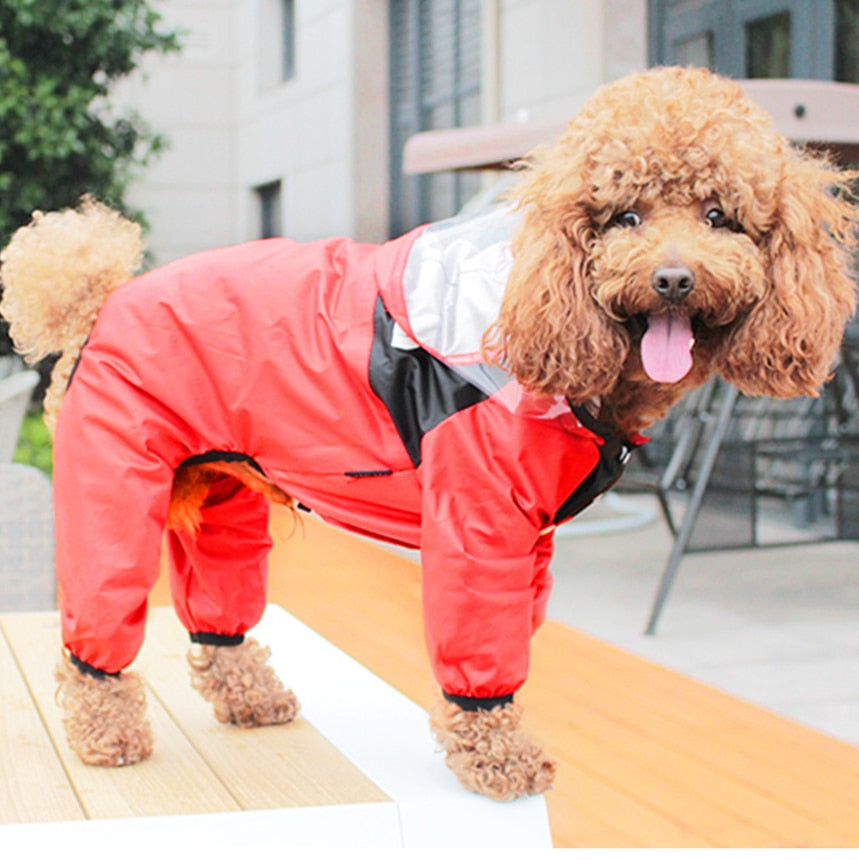 Pet Dog Raincoat Transparent Hooded