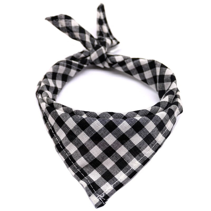 Triangular  Bandana