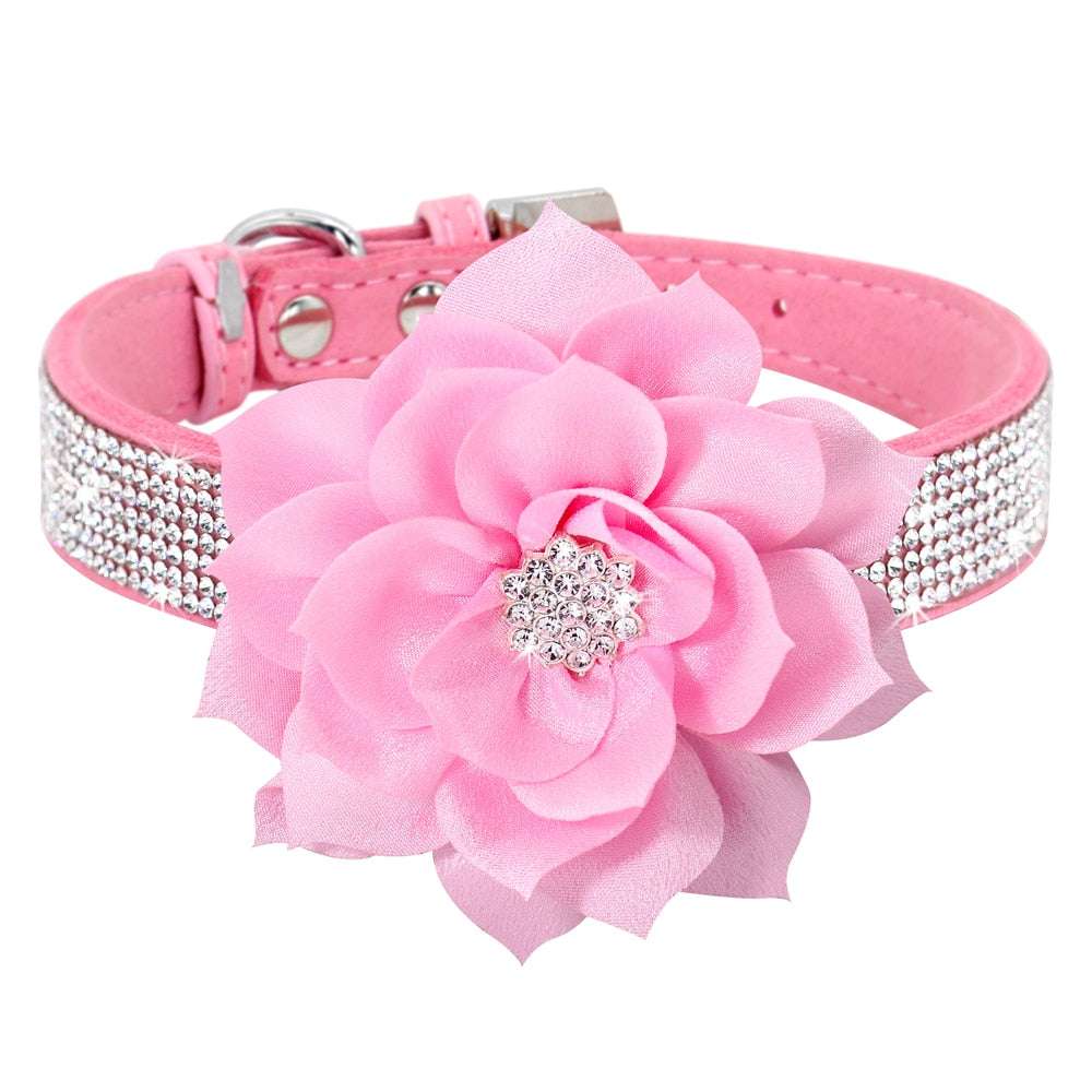 Bling Rhinestone  Collar