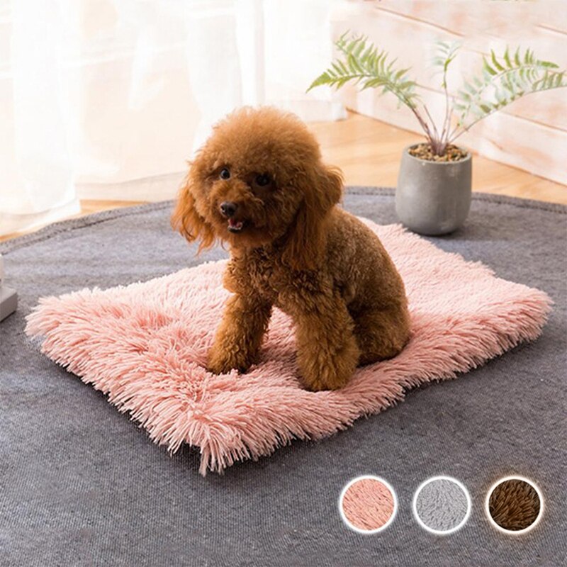 Super Soft Pet Bed