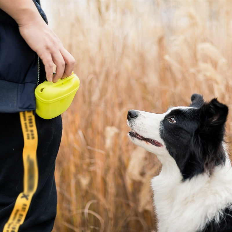 Portable Dog Training Waist Bag Treat