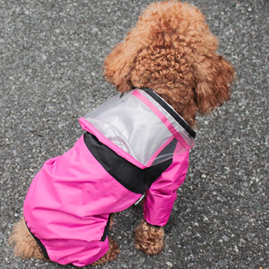 Pet Dog Raincoat Transparent Hooded