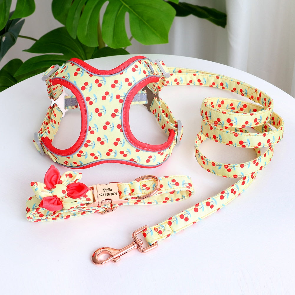 Personalized Dog Collar Printed Harness LeashSet