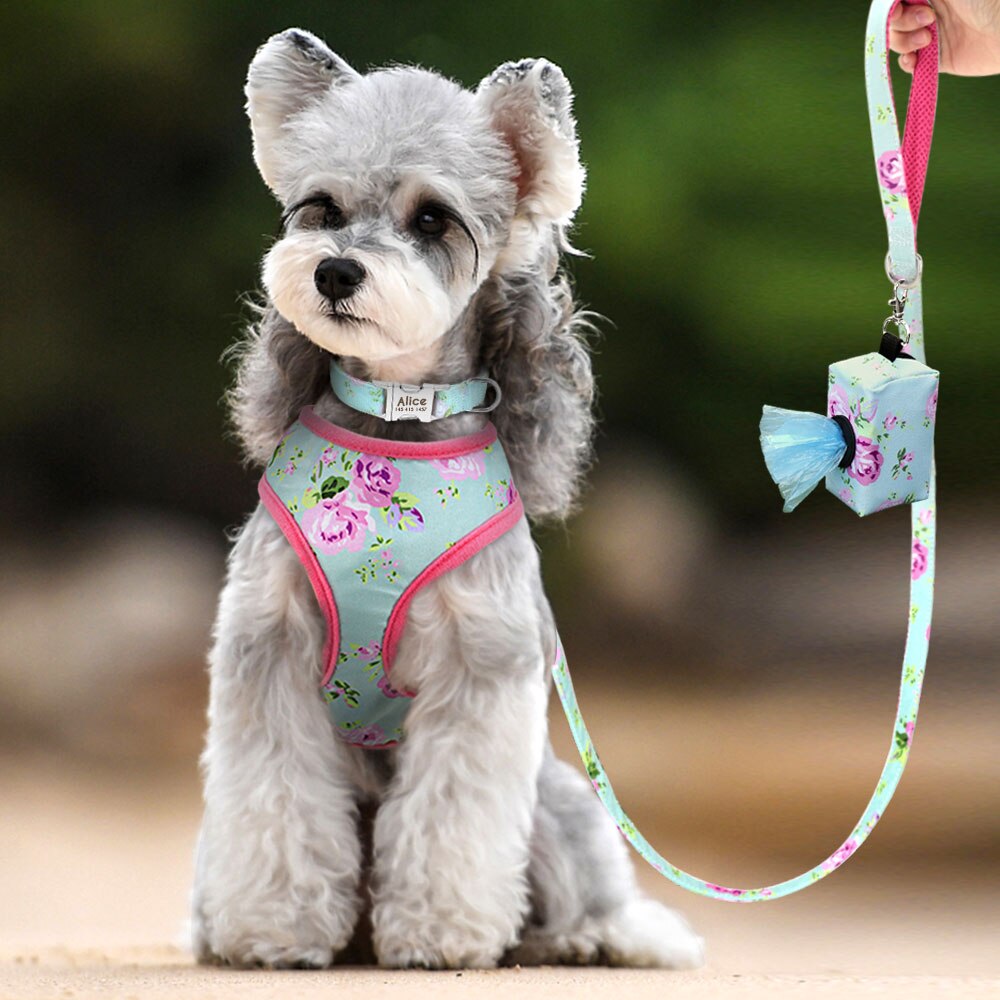 Green Dog Collar Leash Harness Set