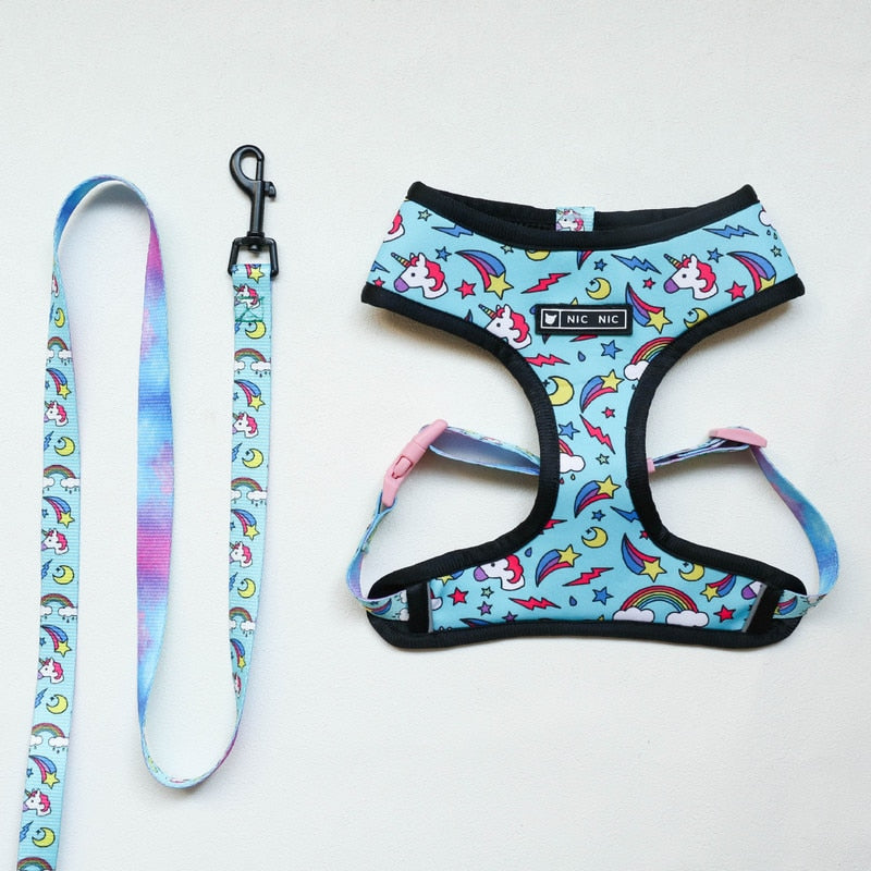 Pet Dog Harness Leash Set