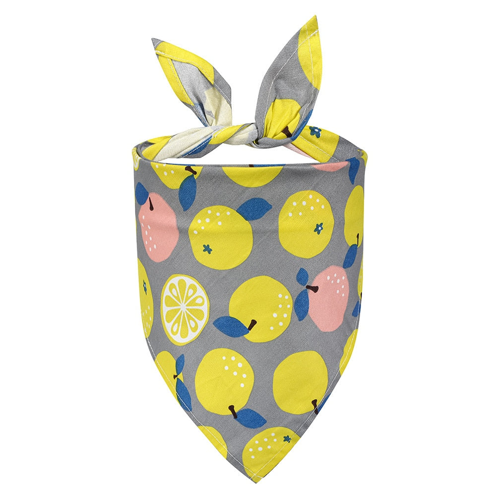 Fruit Bandana