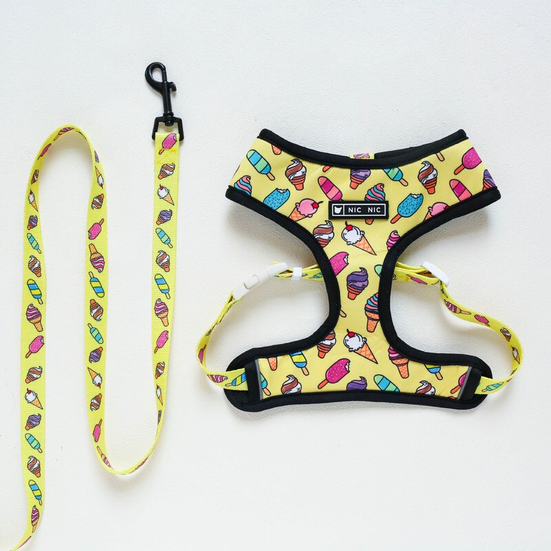 Pet Dog Harness Leash Set