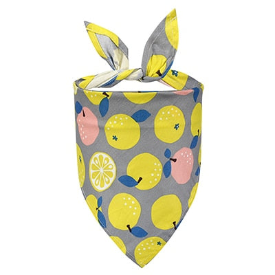 Fruit Bandana