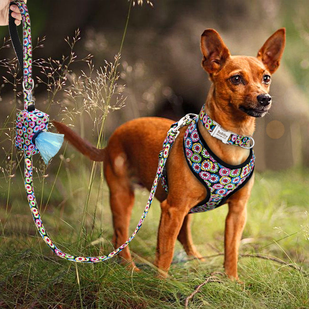 Red Collar Leash Harness Set