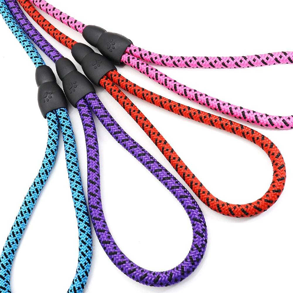 1.5m Leash Nylon