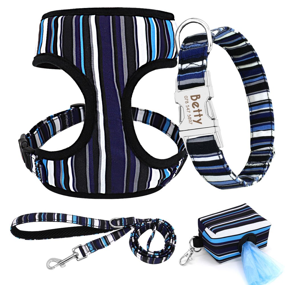 Blue Collar Leash Harness Set