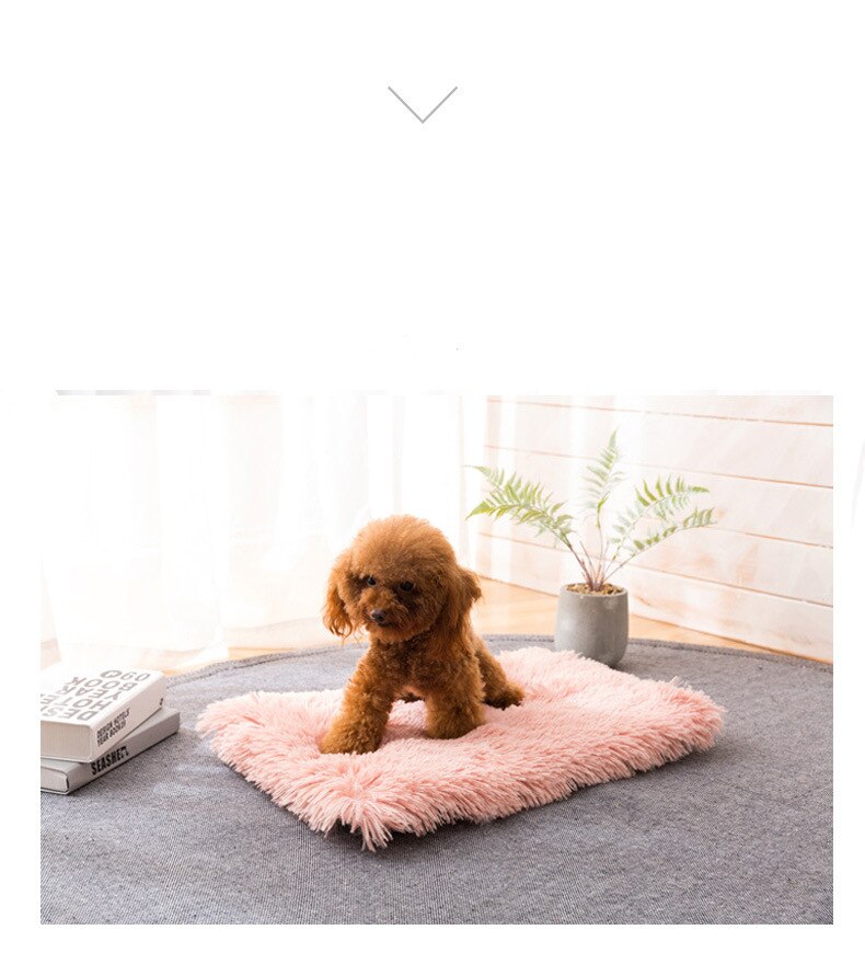 Super Soft Pet Bed