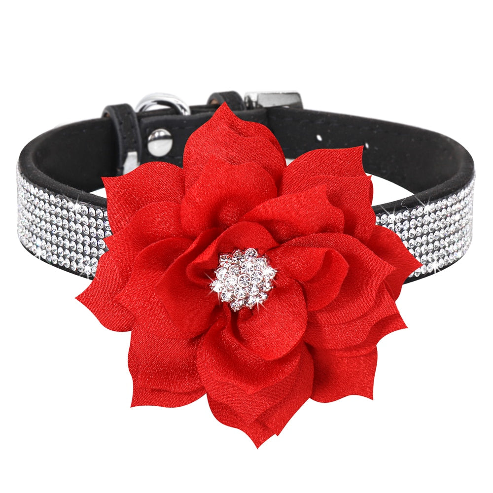 Bling Rhinestone  Collar