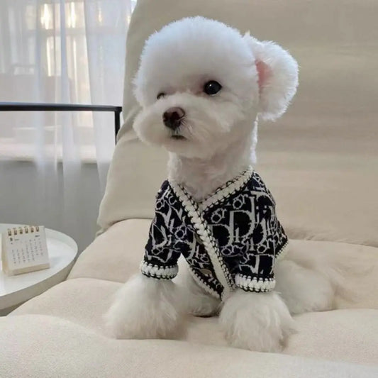 Dior Fashion Sweater