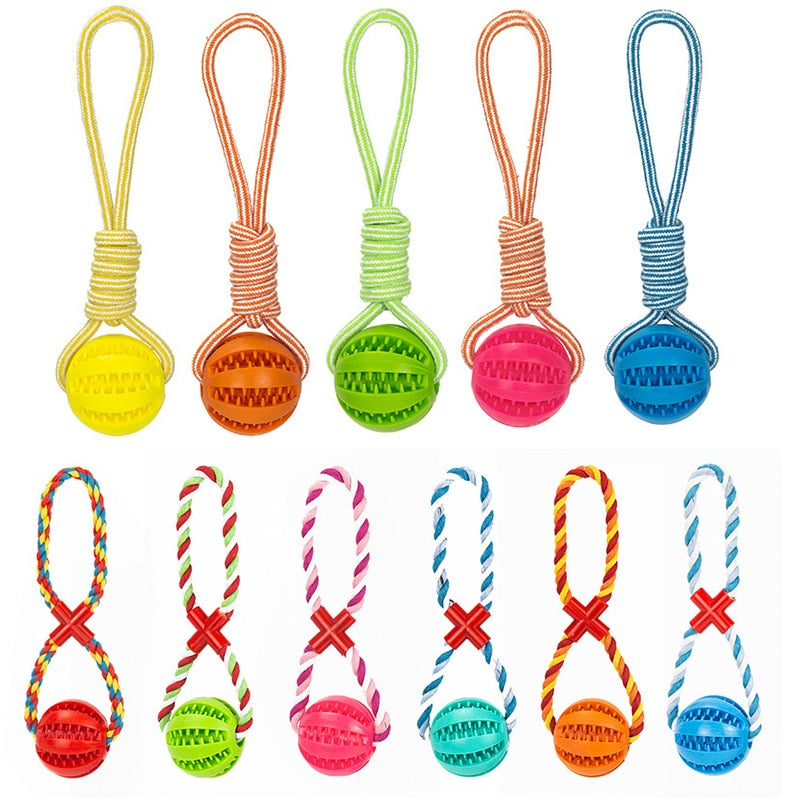 Dog Toys Treat Balls Interactive