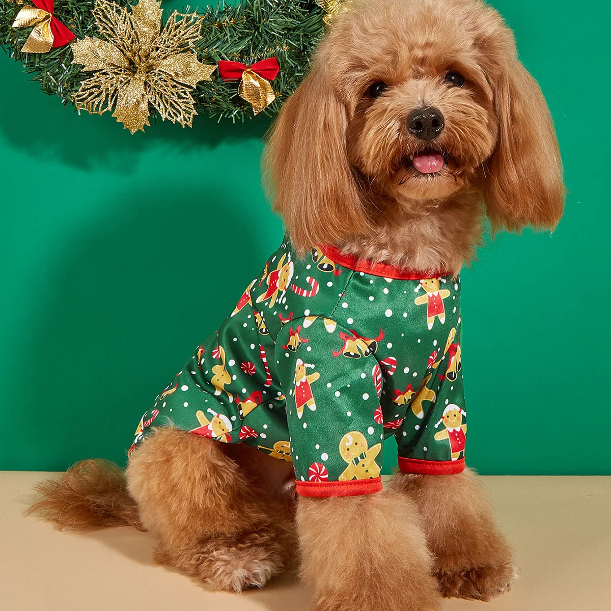 Hoodies Christmas Costume