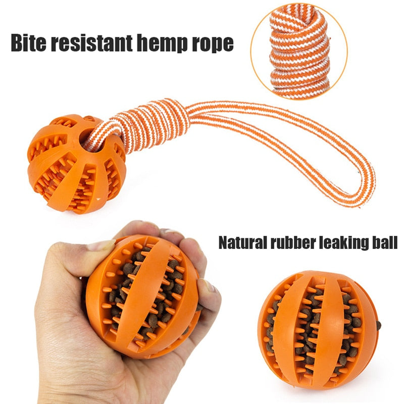 Dog Toys Treat Balls Interactive