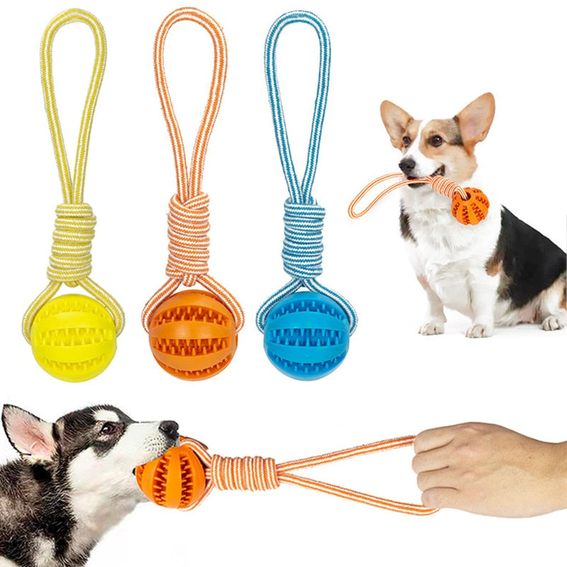 Dog Toys Treat Balls Interactive