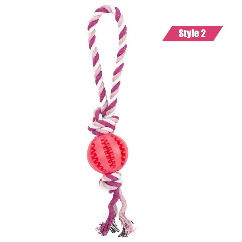 Dog Toys Treat Balls Interactive