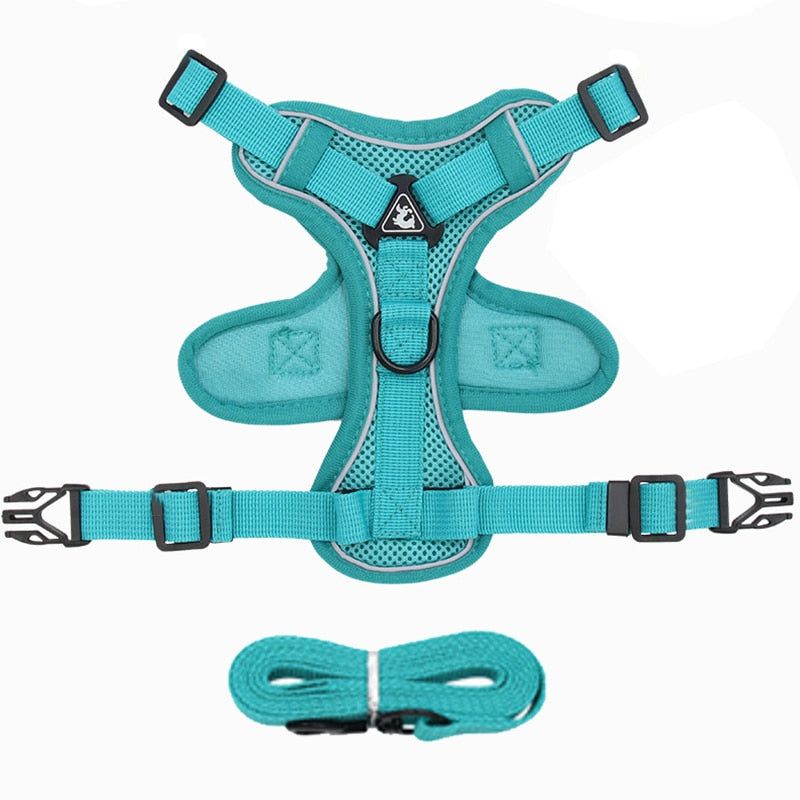 Dog Harness Leash