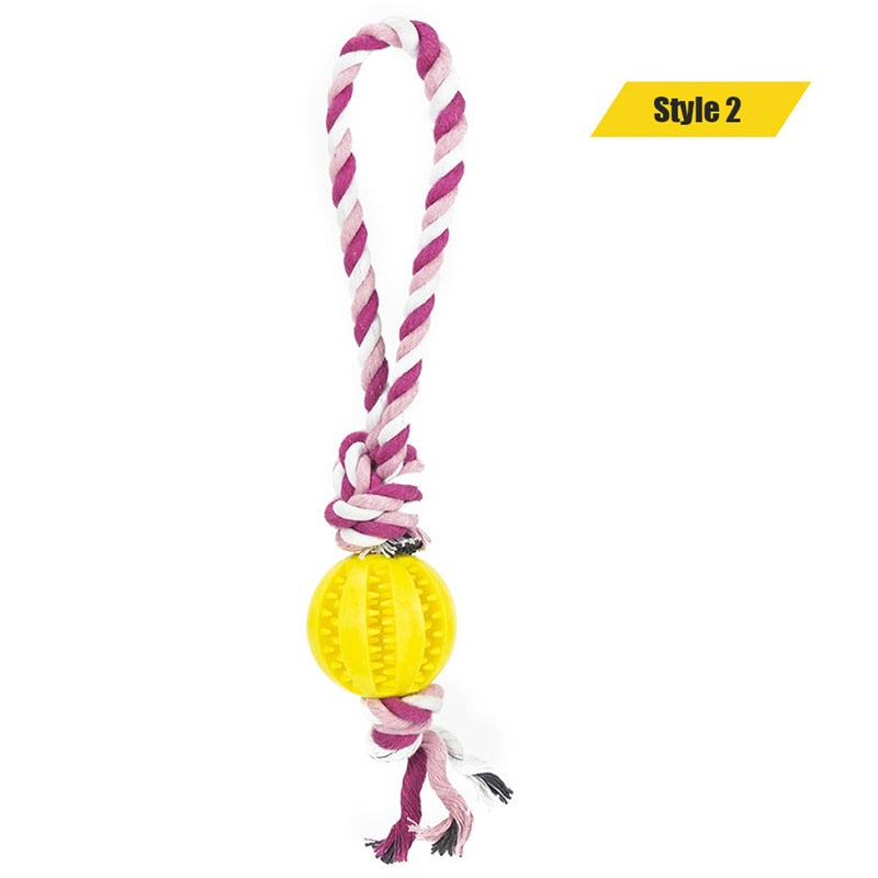 Dog Toys Treat Balls Interactive