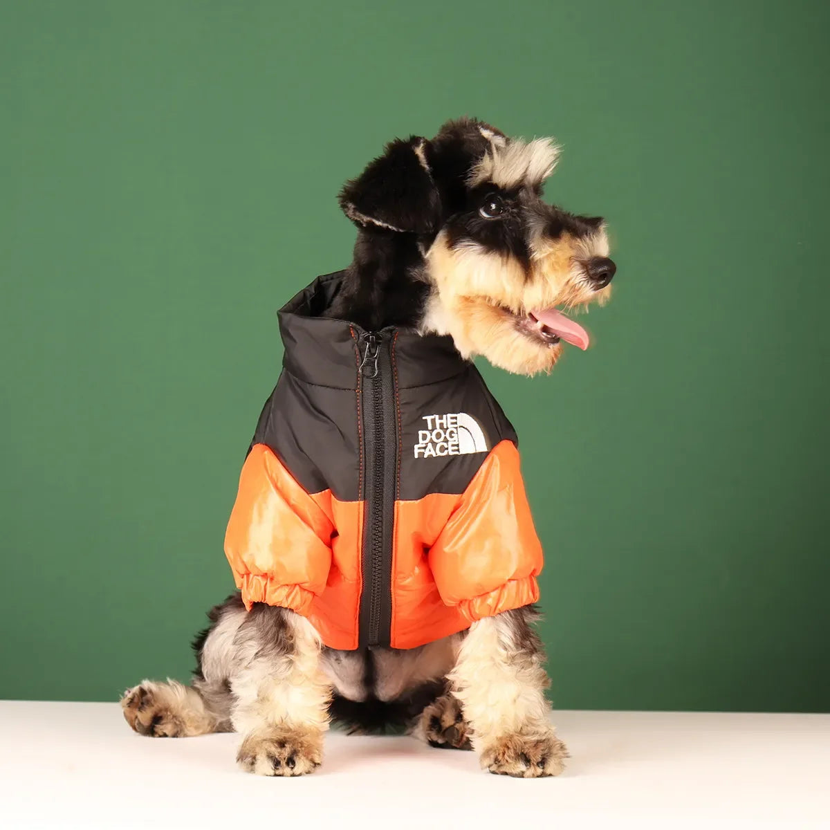 Dog Face Puffer Jacket