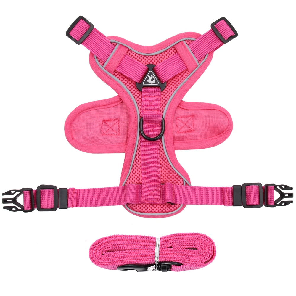 Dog Harness Leash