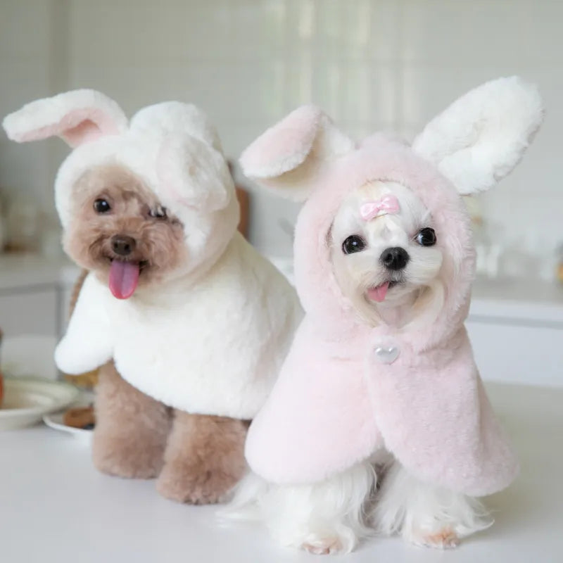 Rabbit Easter Costume