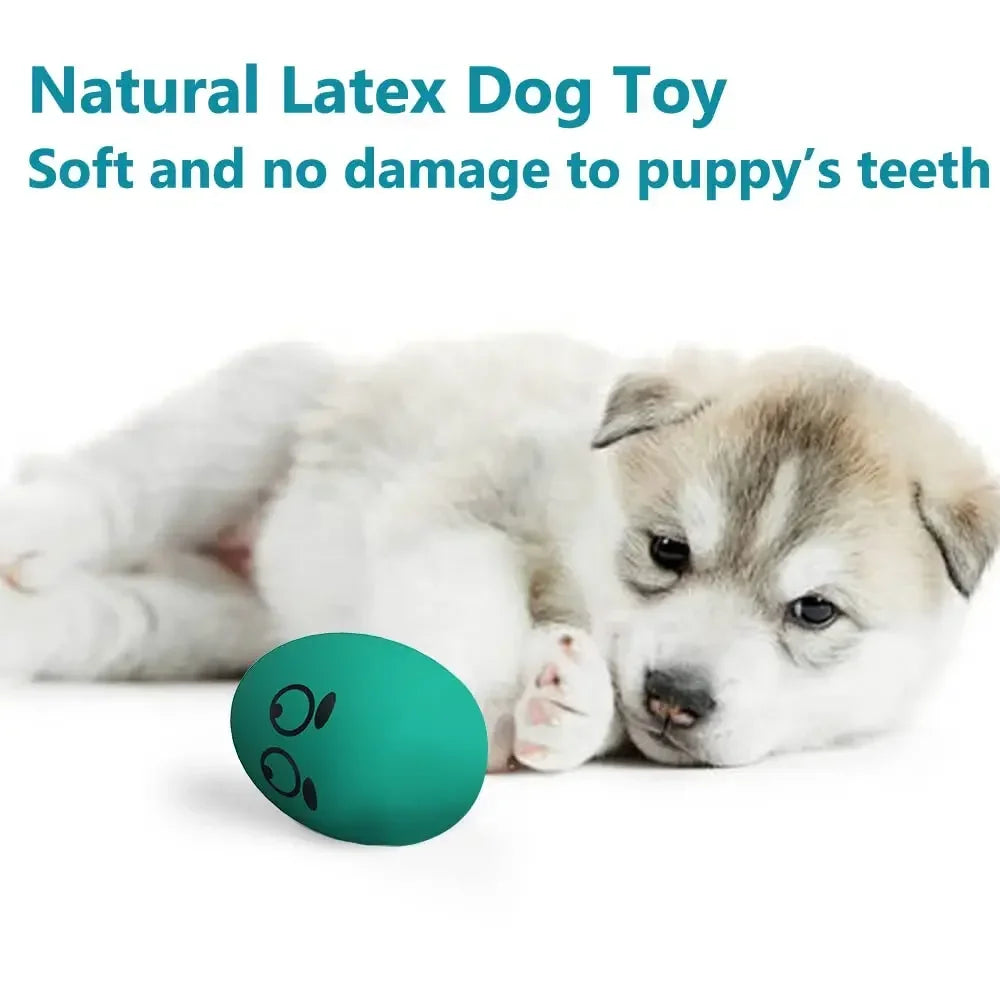 Easter Eggs Dog Toys