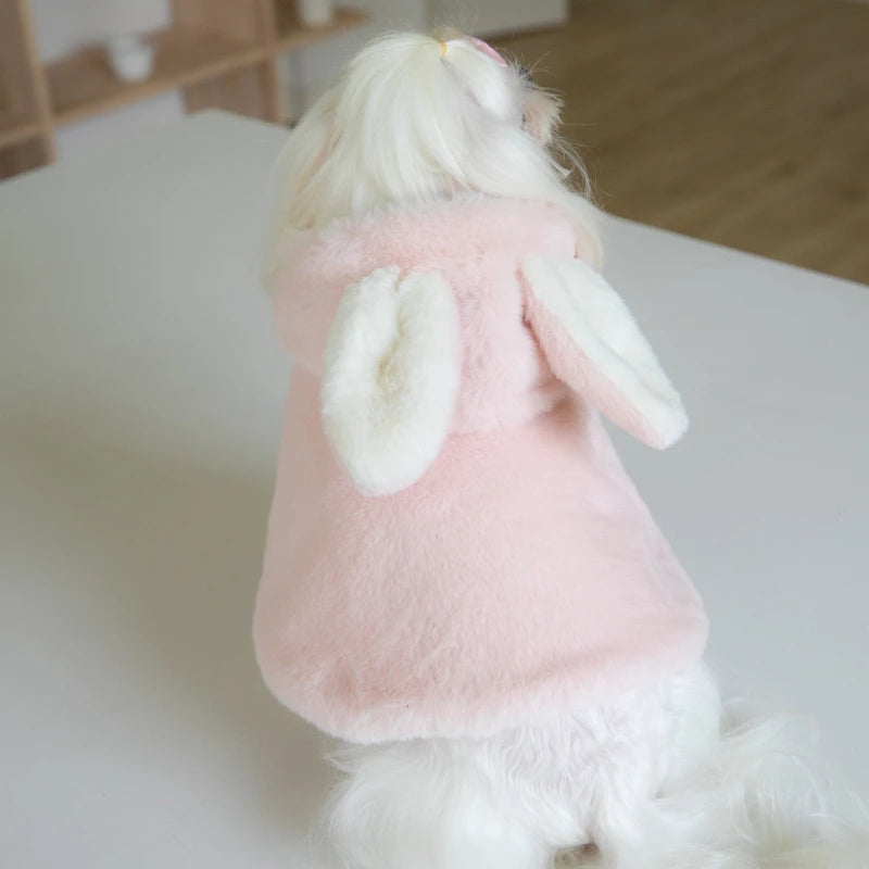 Rabbit Easter Costume