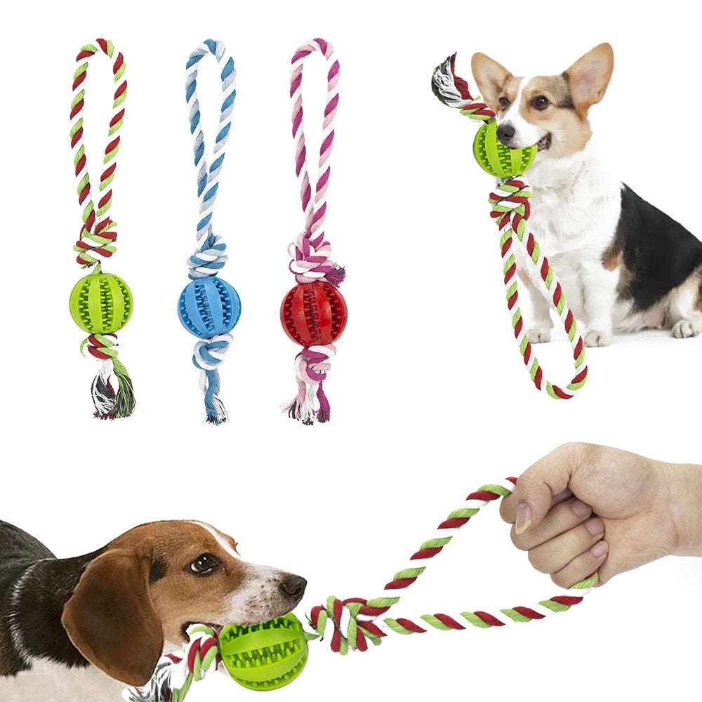 Dog Toys Treat Balls Interactive