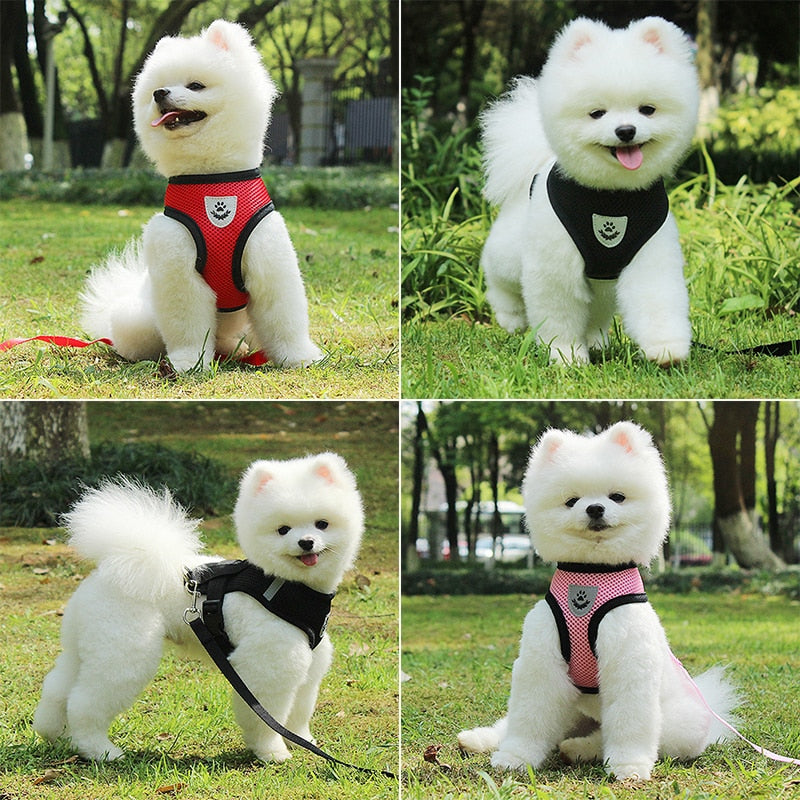 Breathable Mesh Dog Harness