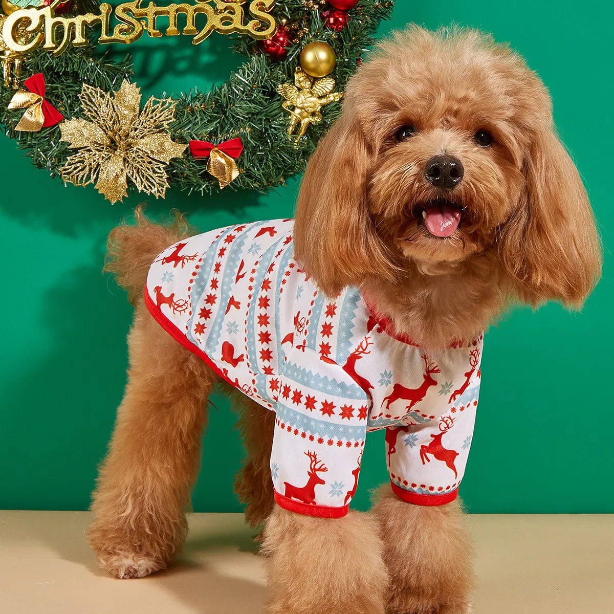 Hoodies Christmas Costume